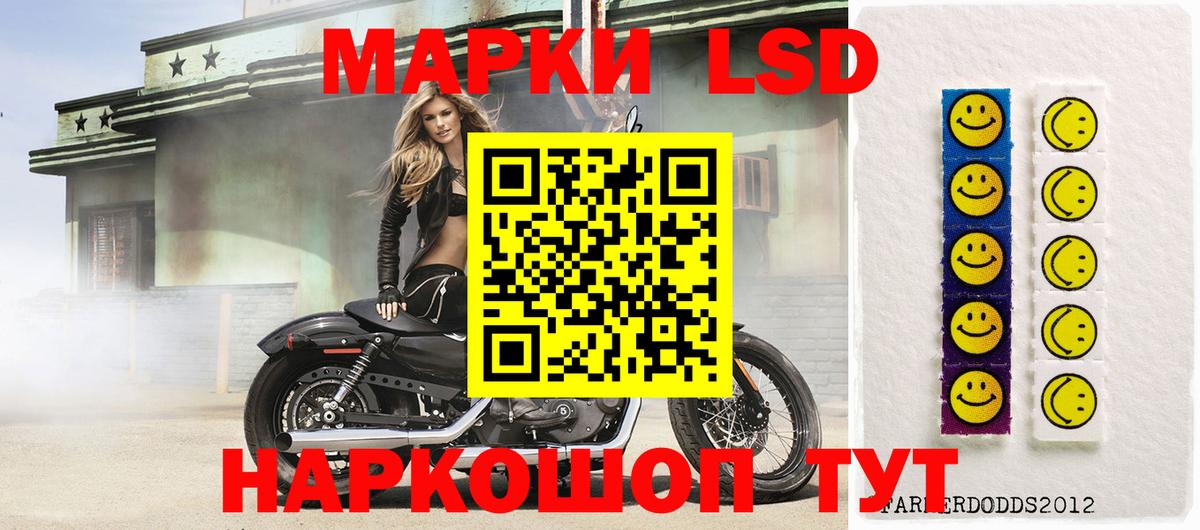LSD-25 экстази ecstasy Новозыбков