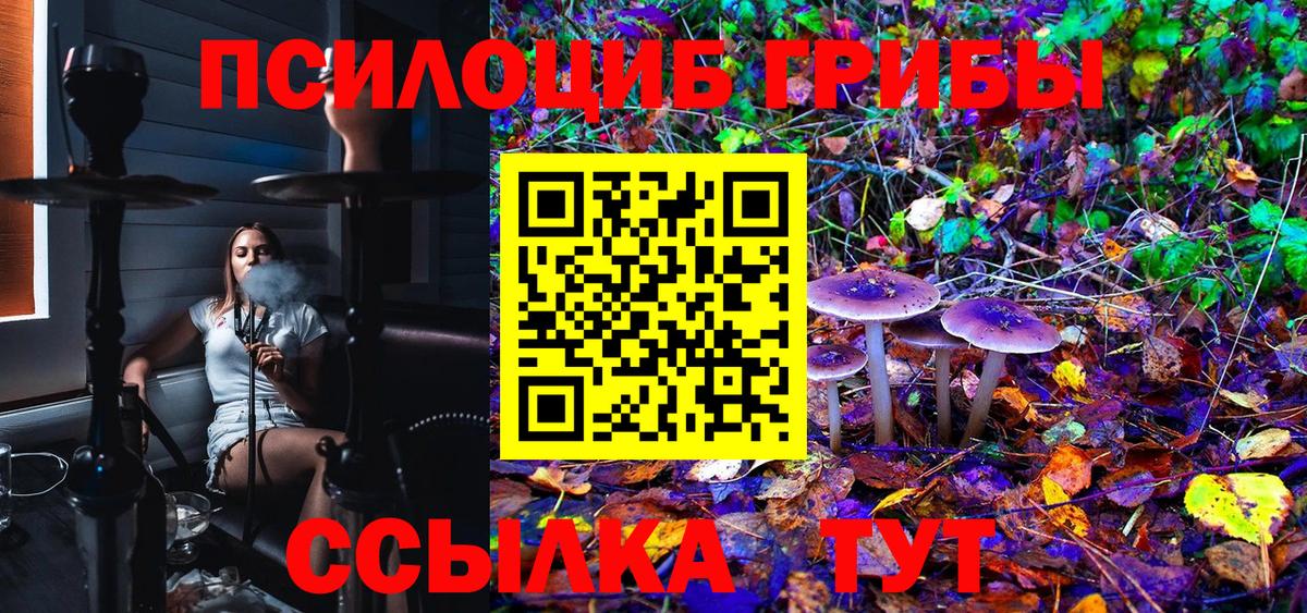 Галлюциногенные грибы MAGIC MUSHROOMS  Вход с VPN  Новозыбков 